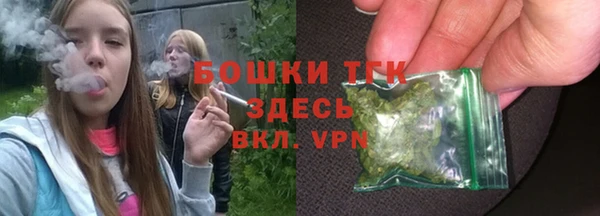 гидра Армянск