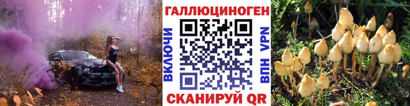 блэк спрут ссылка Артёмовский Галлюциногенные грибы Cubensis